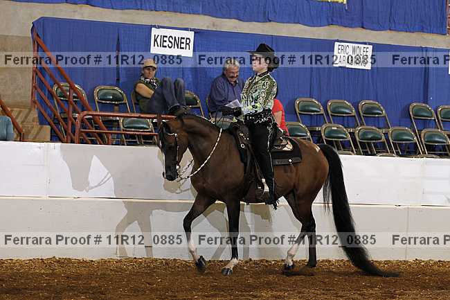 Proof 11r12_0885
