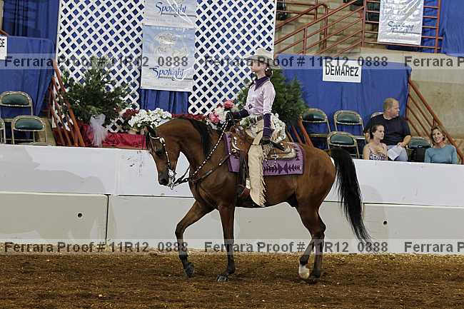 Proof 11r12_0888