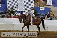 11r12_0888 proof