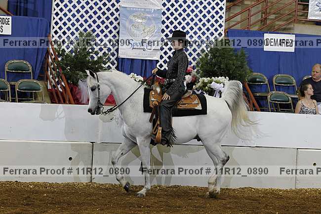 Proof 11r12_0890