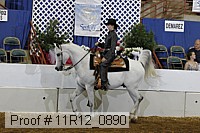 11r12_0890 proof