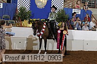 11r12_0903 proof