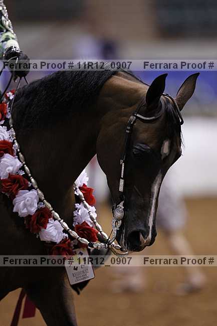 Proof 11r12_0907
