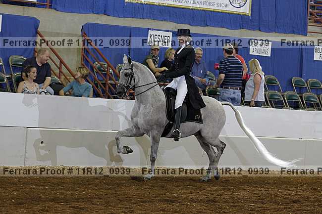 Proof 11r12_0939