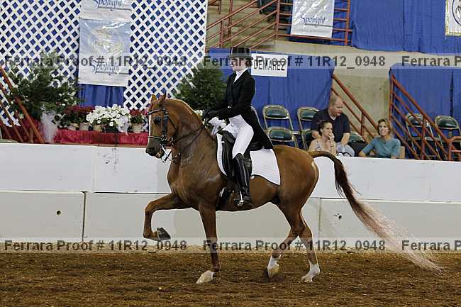 Proof 11r12_0948