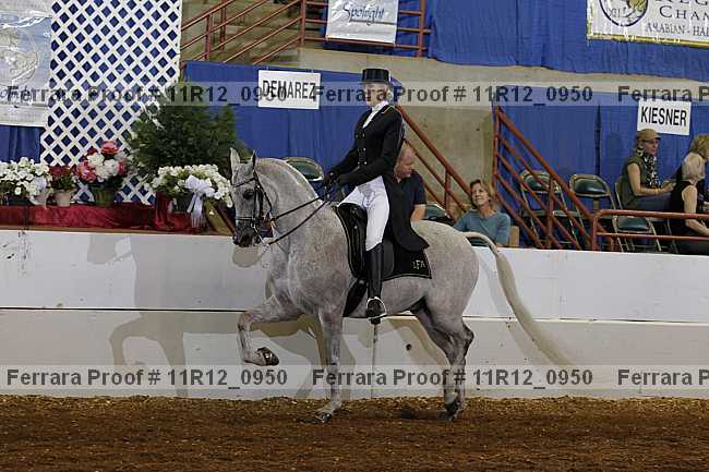 Proof 11r12_0950