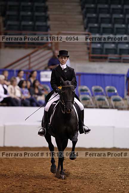 Proof 11r12_0954