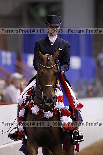 Proof 11r12_0965