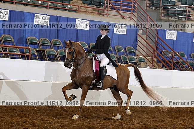 Proof 11r12_0966