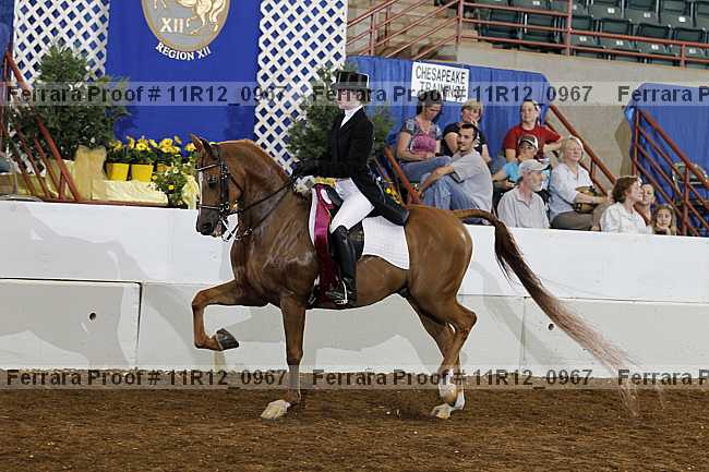 Proof 11r12_0967