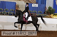 11r12_0971 proof