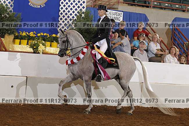 Proof 11r12_0973