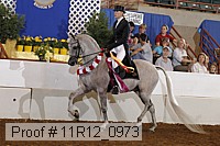 11r12_0973 proof