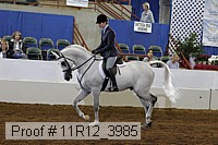 11r12_3985 proof