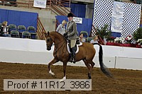 11r12_3986 proof