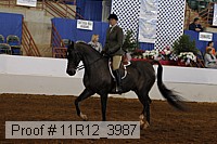 11r12_3987 proof