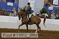 11r12_3993 proof