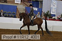 11r12_4001 proof