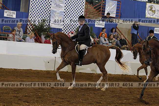 Proof 11r12_4014