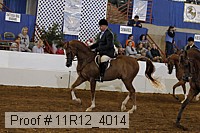 11r12_4014 proof
