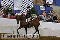 11r12_4018 proof