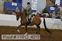 11r12_4019 proof