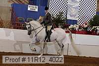 11r12_4022 proof