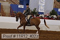 11r12_4023 proof