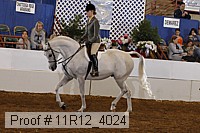 11r12_4024 proof