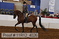 11r12_4026 proof
