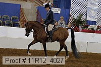 11r12_4027 proof