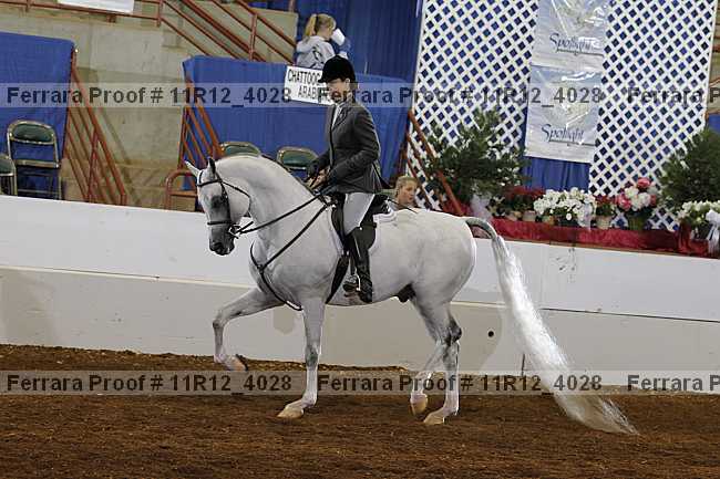 Proof 11r12_4028
