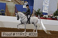 11r12_4028 proof