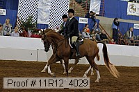 11r12_4029 proof