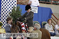 11r12_4038 proof