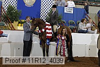 11r12_4039 proof