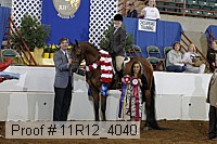 11r12_4040 proof