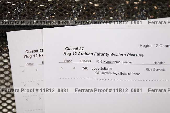 Proof 11r12_0981
