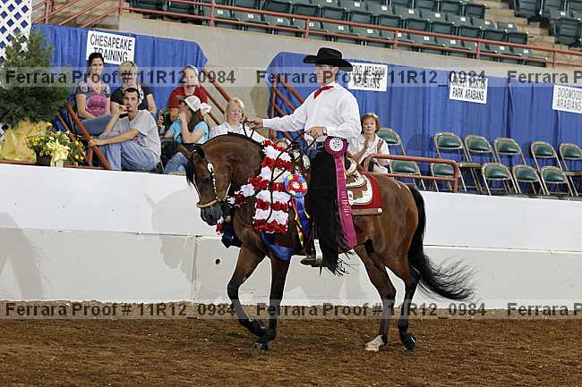 Proof 11r12_0984