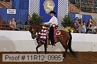 11r12_0985 proof