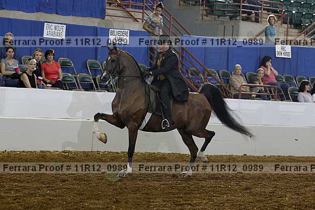 Proof 11r12_0989