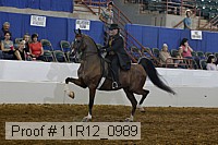 11r12_0989 proof