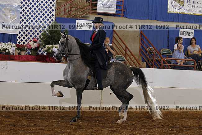 Proof 11r12_0992