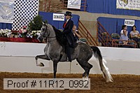 11r12_0992 proof