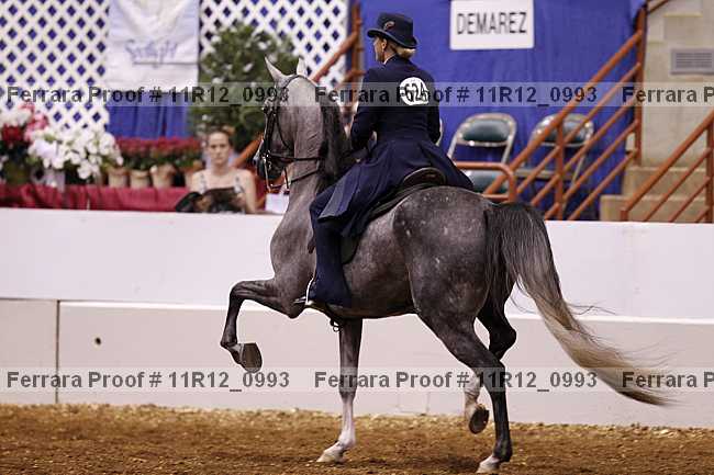 Proof 11r12_0993