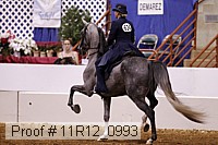 11r12_0993 proof