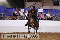 11r12_0995 proof