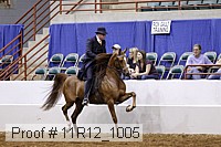 11r12_1005 proof