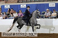 11r12_1007 proof