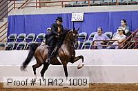 11r12_1009 proof